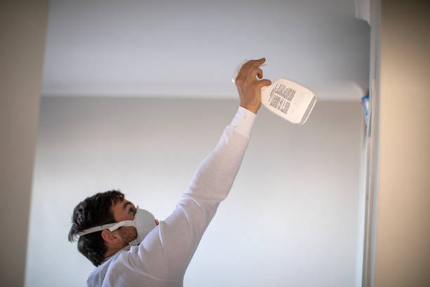Best Toxic Mold Removal  in Aldan, PA